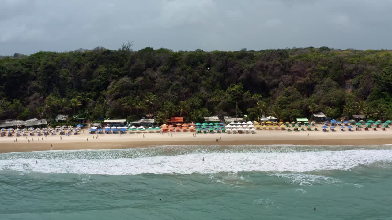 fotografía aérea de la famosa playa tropical de madeiro cerca de pipa, brasil en río grande do norte con olas tranquilas para surfear, paraguas coloridos y rodeada de grandes acantilados exóticos