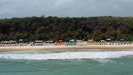 Linke-LKW-Luftdrohnenaufnahme-Des-Berühmten-Tropischen-Madeiro-Strandes-In-Der-Nähe-Von-Pipa,-Brasilien-In-Rio-Grande-Do-Norte-Mit-Ruhigen-Wellen-Zum-Surfen,-Bunten-Sonnenschirmen-Und-Umgeben-Von-Großen-Exotischen-Klippen