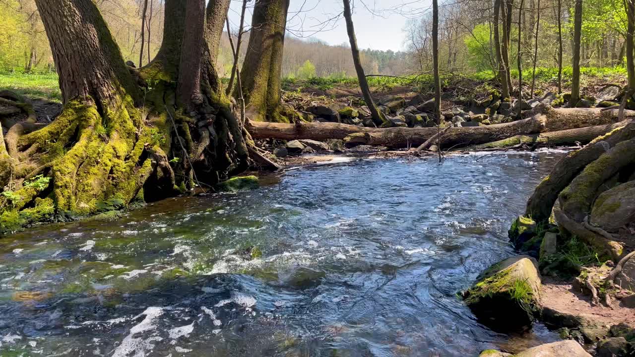 Strømmen flyder uafbrudt gennem en grøn park på en solrig sommerdag.