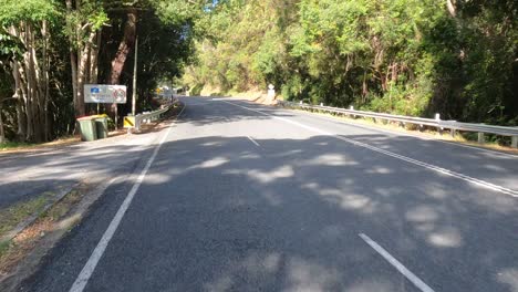 winding road through lush forest landscape