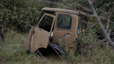 viejo accidente de camión oxidado por el bosque de chernobyl en ucrania