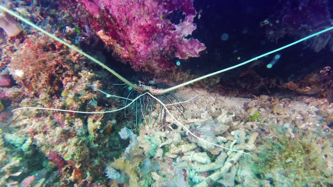 You'll find me at the bottom of the blue