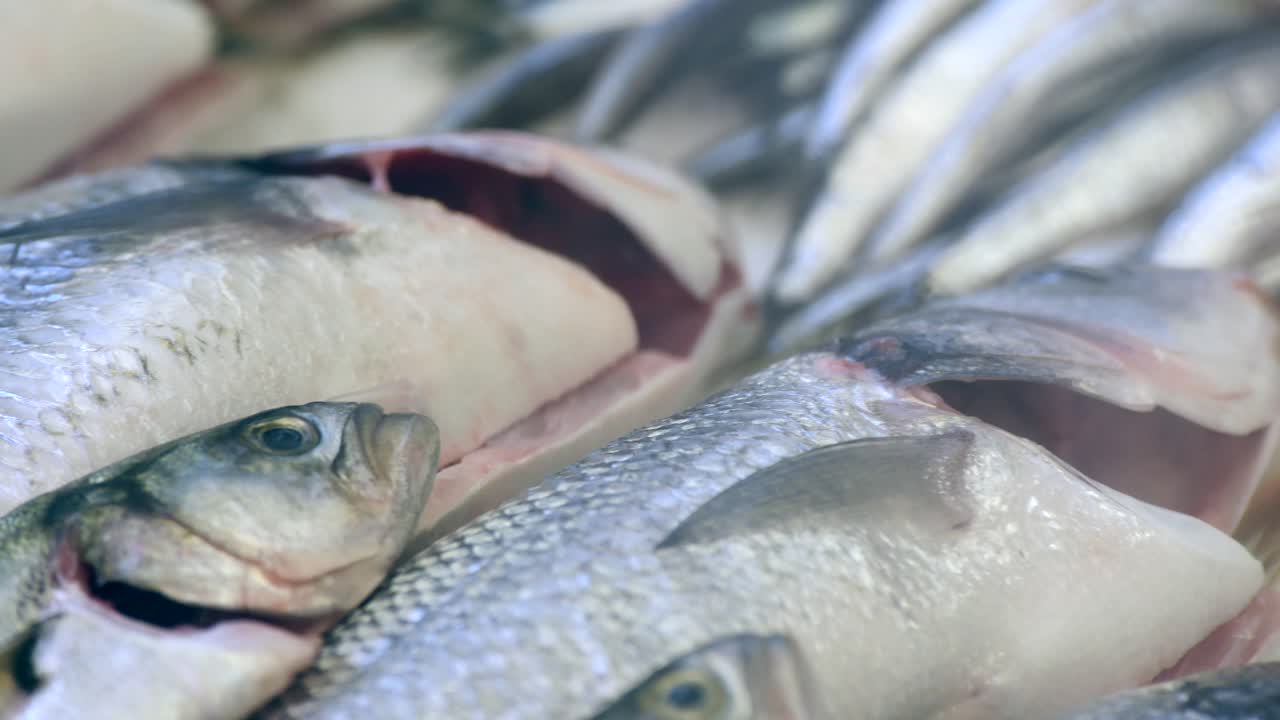 exhibición de pescado fresco en un mercado