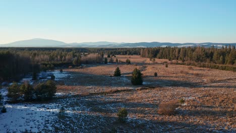 Peaceful-rural-forest-with-open-meadow-and-stunning-sunlight-at-dusk