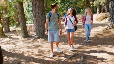 group of young friends on hiking adventure in countryside