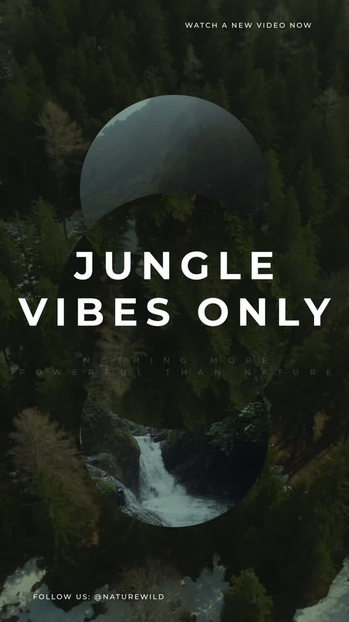 Embrace Nature: Forest Views and Jungle Vibes