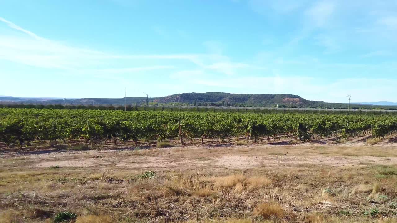 Passing acres of apple trees protected and covered in ripe apples in sprain