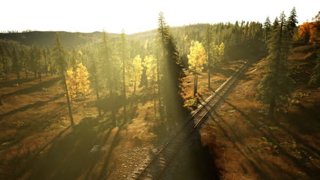 Verlassene-Eisenbahnstrecke-In-Einem-Nadelwald-Im-Frühling