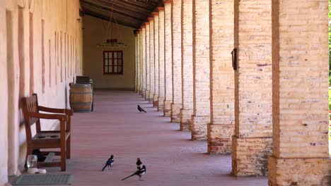 Old-adobe-pillars-and-columns-line-a-California-Mission