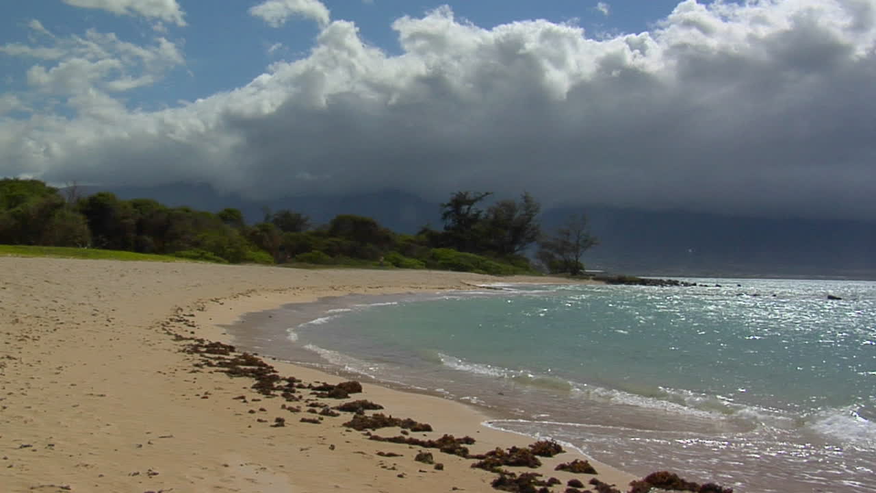 las olas llegan a una hermosa playa de arena blanca en hawaii