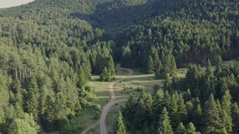 aerial - panoramic shot of large forest in greece