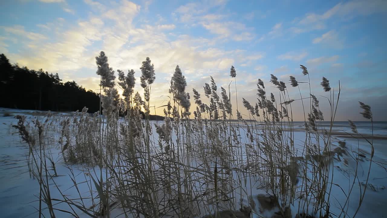 바다 근처의 차가운 겨울 바람에서