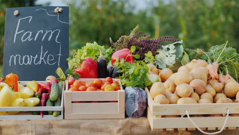 a counter with fresh vegetables at a farmers market vegetables from local producers