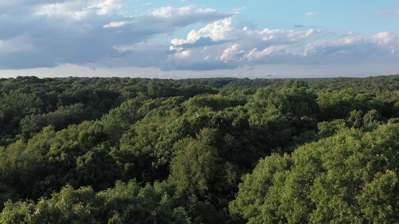 volo aereo proprio sopra il limite del bosco di un'area boschiva con uccelli in volo e un cielo nuvoloso blu