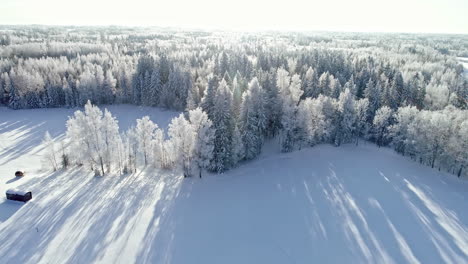 Paisaje-Aéreo-Del-Bosque-De-Invierno-Durante-La-Puesta-De-Sol