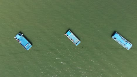 pequeños barcos de pesca conectados por cuerdas