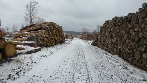 POV-of-running-on-a-wintery-trail-in-Thruingia-between-of-many-huge-wooden-piles