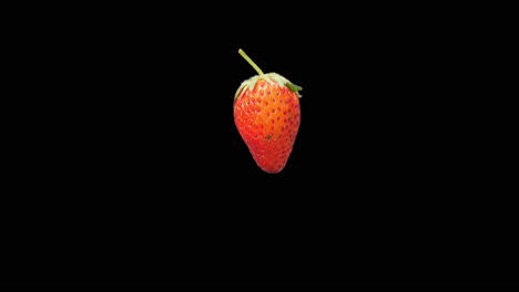 realistic strawberry rotating with alpha channel, video in 4k