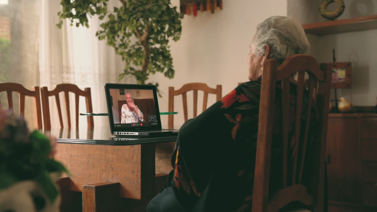 비디오 채팅을 하는 노인 여성