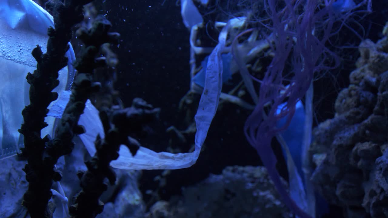 바다 장면 푸른 빛 4k에서 플라스틱 오염 폐기물