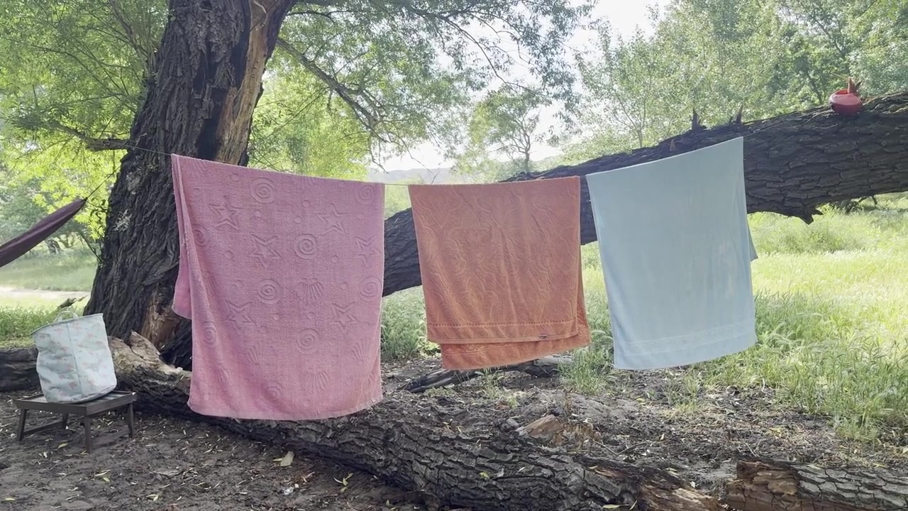 Three colorful towels hang on a clothesline between trees, drying in the gentle breeze on a sunny day in a natural outdoor setting
