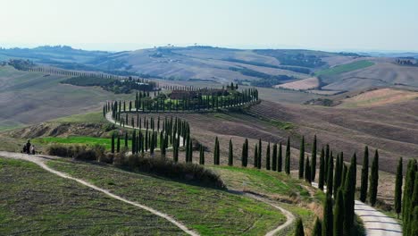 maravillosa vista aérea desde arriba vuelo toscana cipreses avenida callejón rural italia