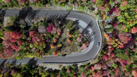 Coloridos-árboles-De-Otoño-Con-Autos-En-La-Carretera-Estatal-92-De-Utah,-Elevación-Aérea