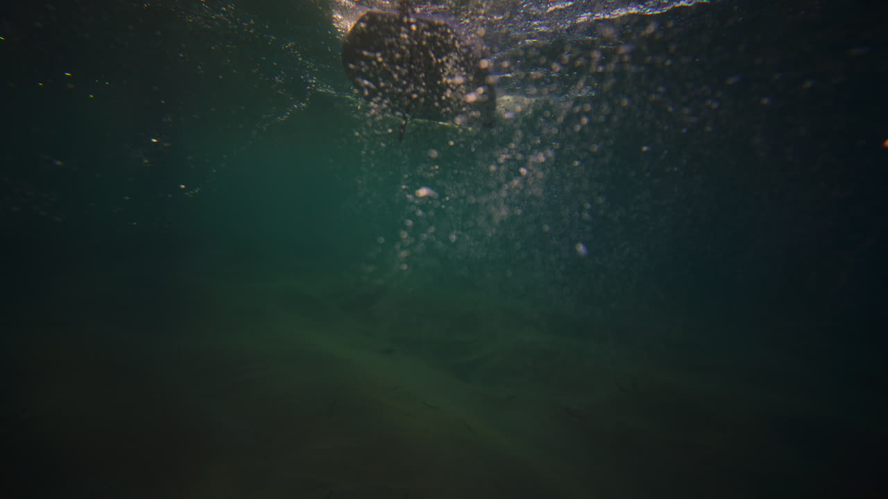 задний вид на длинный серферский повод, когда солнечный свет светит на песок