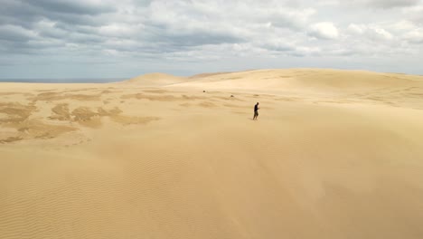 Hermosa-Revelación-Aérea-De-Un-Hombre-Solitario-Caminando-Sobre-Una-Enorme-Duna-De-Arena-En-Te-Paki,-Paisaje-De-Nueva-Zelanda