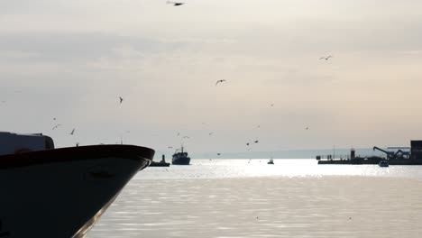 fishing boat in the distance arriving at santa pola harbor