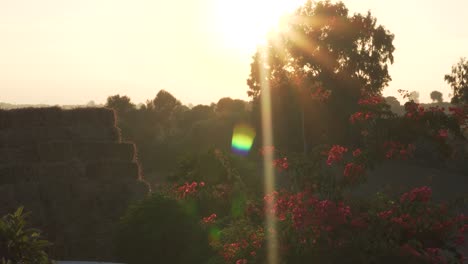 Sonnenstrahlen-Scheinen-Zur-Goldenen-Stunde-In-Der-Natur-Mit-Rosen-Und-Heuhaufen-Im-Hintergrund