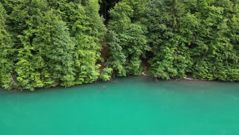 Üppige-Grüne-Alpine-Wildnis-Ziert-Das-Ufer-Des-Klöntalersees