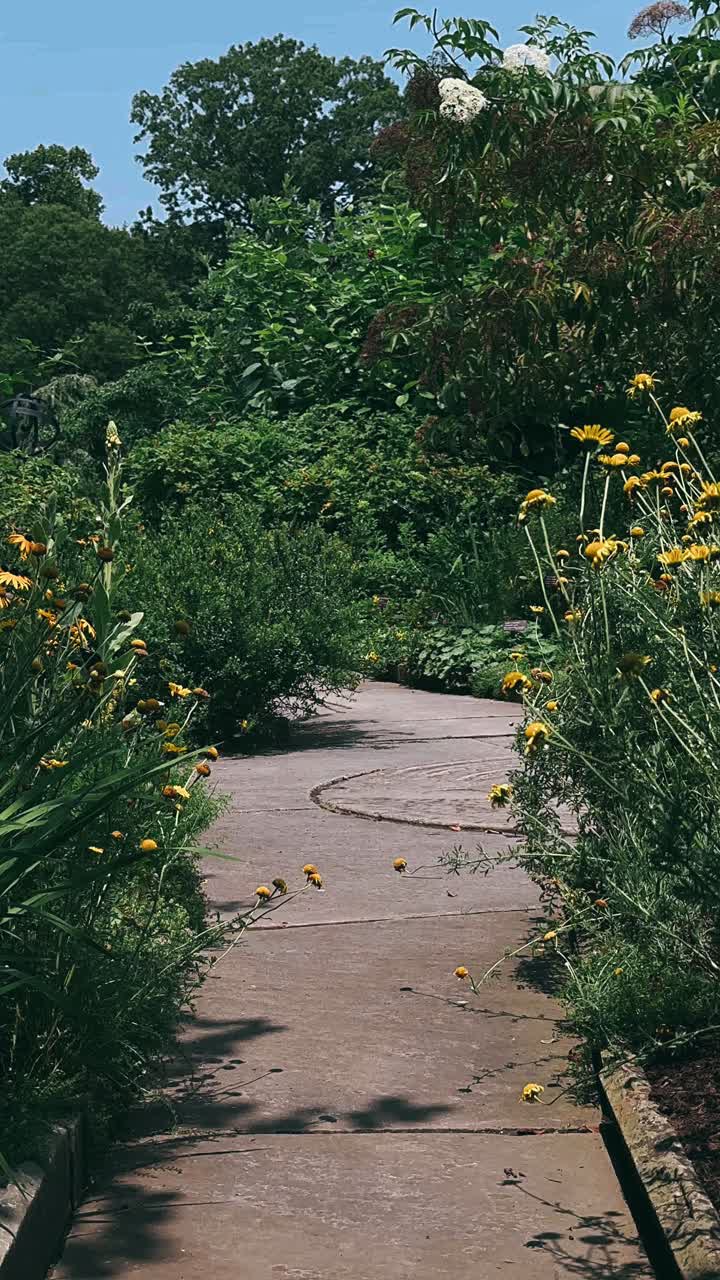 un camino de jardín pacífico con flores amarillas
