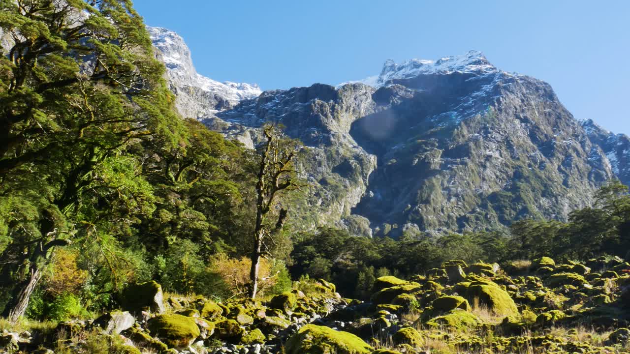 foto panorámica de un paisaje idílico con plantas verdes y montañas nevadas en el fondo durante el cielo azul y la luz del sol en nueva zelanda