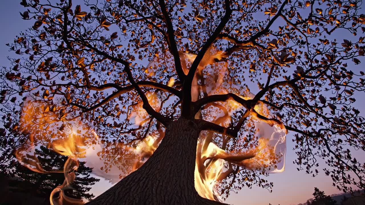 Golden energy pulsating through magnolia tree branches at sunset, creating ethereal mystical atmosphere with vibrant golden light and surreal magical glow