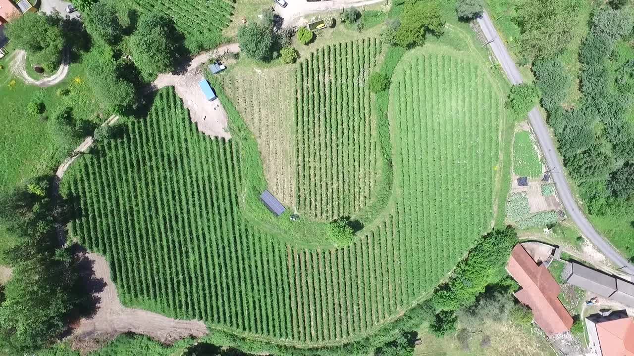 아름다운 들판의 하향식 드론 샷