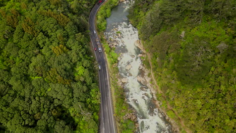 Drone-rises-above-the-dense-green-canopy-of-the-forest,-it-reveals-an-idyllic-scene-below