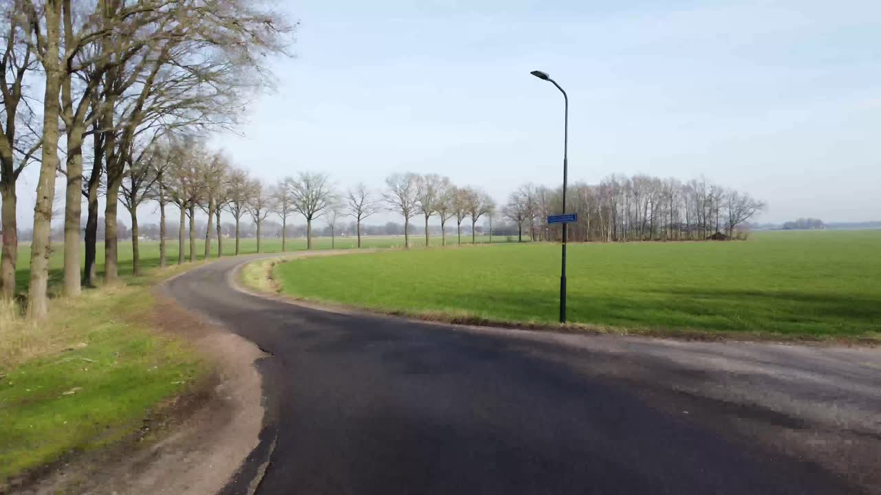 나무와 작은 도로가 있는 농지의 드론 샷