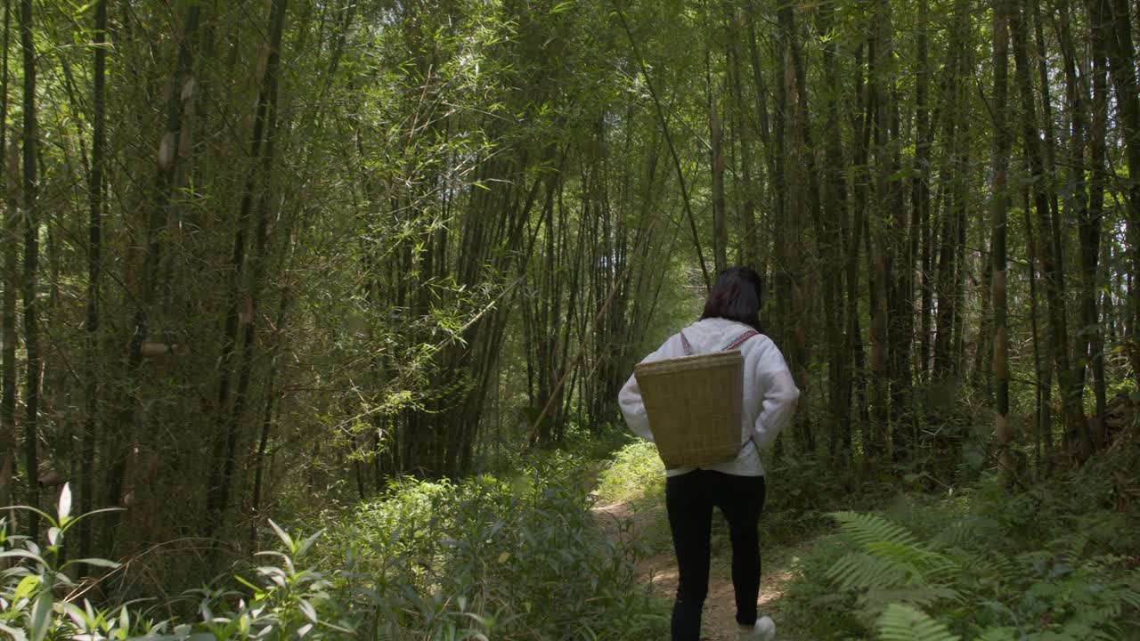 중국에서 베리 수집 바구니와 함께 숲에서 방황 하는 알 수 없는 소녀