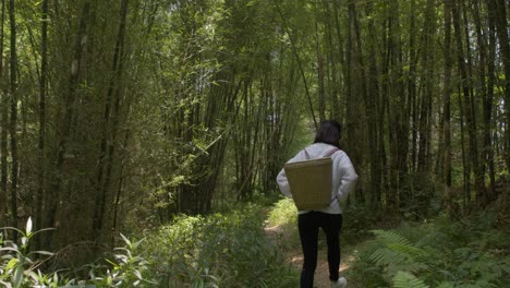 chica desconocida vagando por el bosque con una cesta para recolectar bayas en china