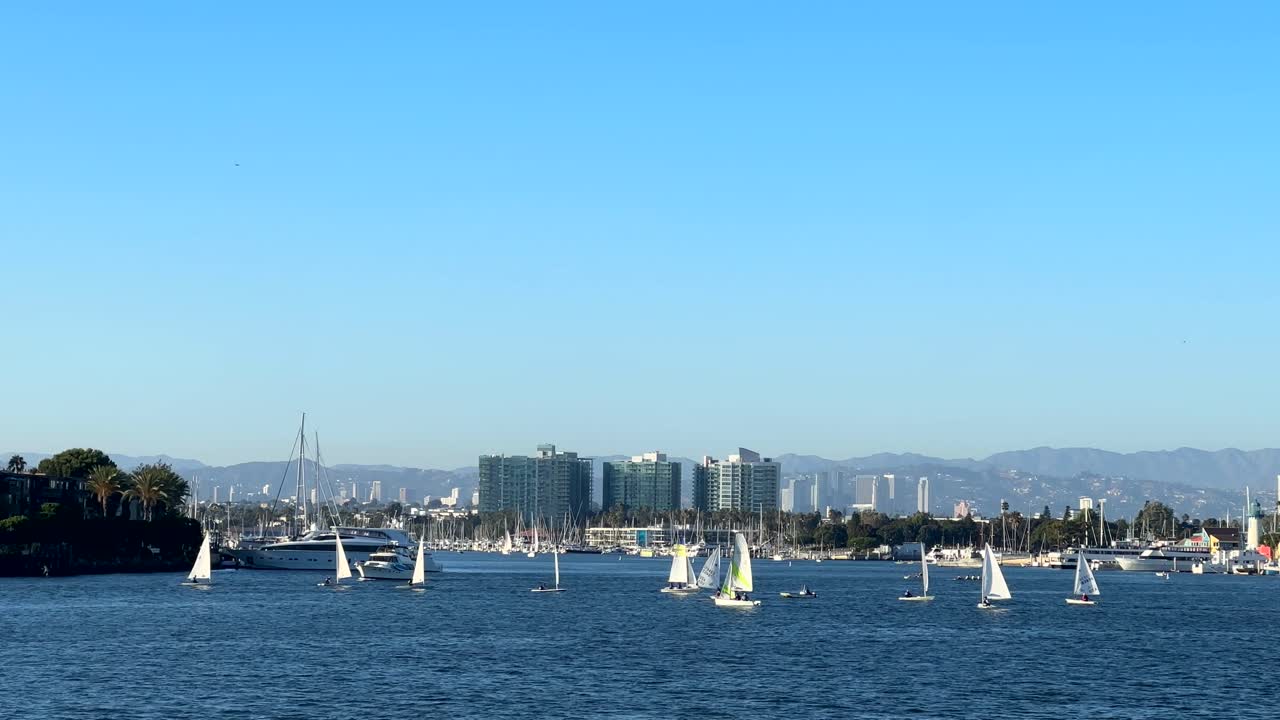 아름다운 여름날 로스앤젤레스의 마리나 델 레이에서 항해하는 보트