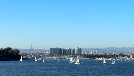 boats sailing in marina del rey in los angeles on beautiful summer day