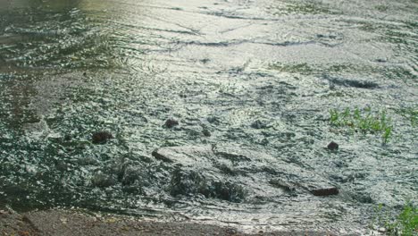 outflow of water from a well. breakthrough of the water supply system. sewerage. prores 422, bmpcc4k