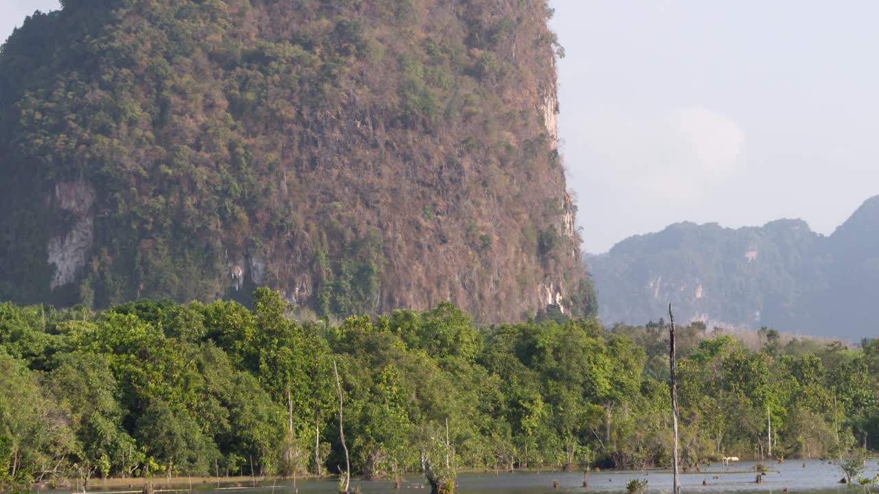 Static wide shot of limestone karst mountains rising above a lush tropical swamp in Thailand