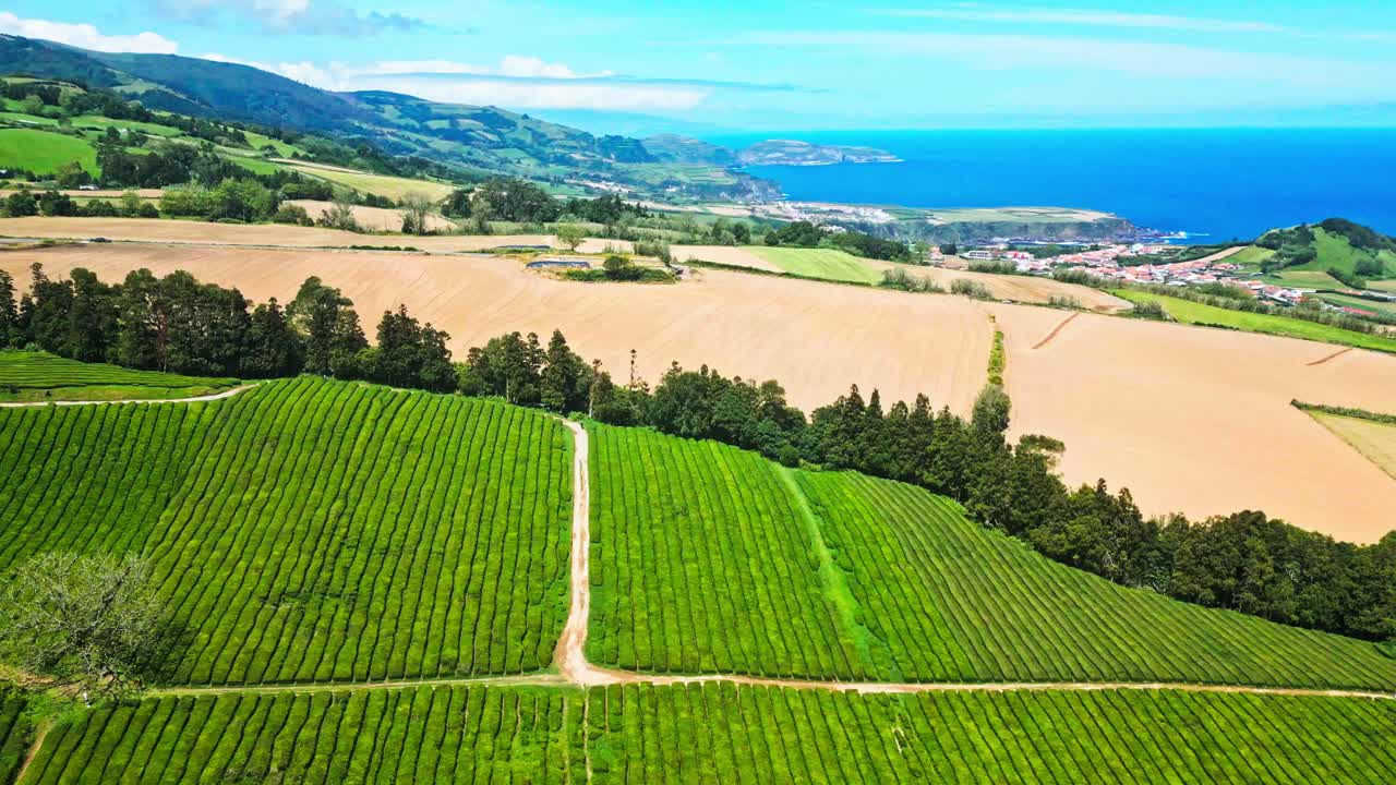 푸른 하늘 아래의 초록색 차, 아조레스, 포르투갈