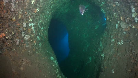 Diving-through-underwater-swim-through-in-the-mediterranean-sea