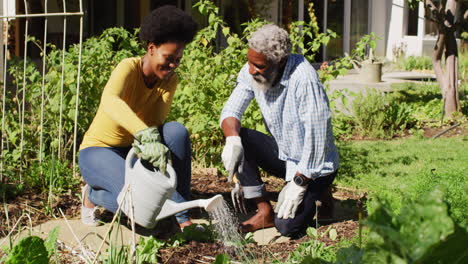 feliz pareja afroamericana haciendo jardinería en un jardín soleado arrodillándose y regando plantas