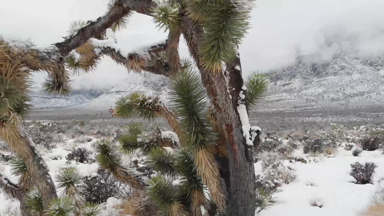 붉은 바위 협곡
