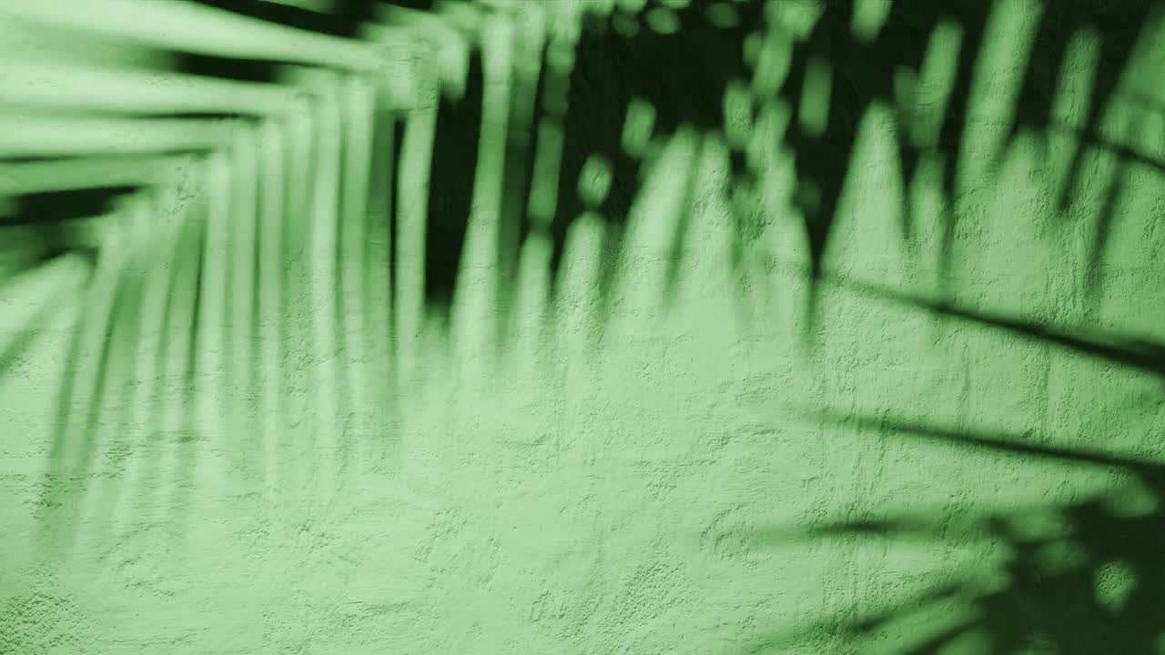 Shadow of palm leaves on textured green plaster wall with natural sunlight. Tropical plant silhouette on stucco surface. Design for wallpaper, banner, postcard, greeting card, poster, vertical
