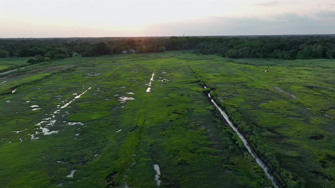 Marshland, wetland and forest landscape of American suburbia at sunset. Aerial wide shot. Peaceful nature landscape